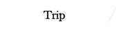 Trip