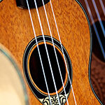 【ハワイ語を学ぼう】uku（ウク）