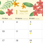 机の上にいつもハワイの花を。365日を彩るハワイ・フラワー・カレンダー2017が新登場!