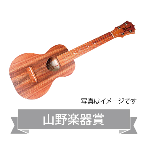 2016pa_keihin_yamano