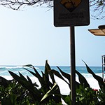 【NO SURF, NO LIFE】今すぐにでもサーフィンがしたくなる!ハワイが舞台のサーフムービー②