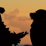 【Body Making for Hula】しなやかな体をつくる12ステップ　Step6 体幹の左右差を改善する