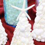 今年はAlohaなクリスマスに!シェルでつくるミニツリーワークショップ