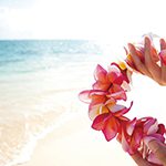 【ハワイの花のある暮らし】プルメリアの冬越し(秋から冬の管理)