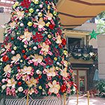 【Information from Hawaii】パンデミック中にハワイでブームになったあれこれ！