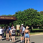 【Information from Hawaii】ハワイの夏、コロナウィルス感染状況