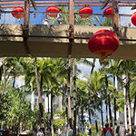 【Information from Hawaii】新しい食のニュースが続々!